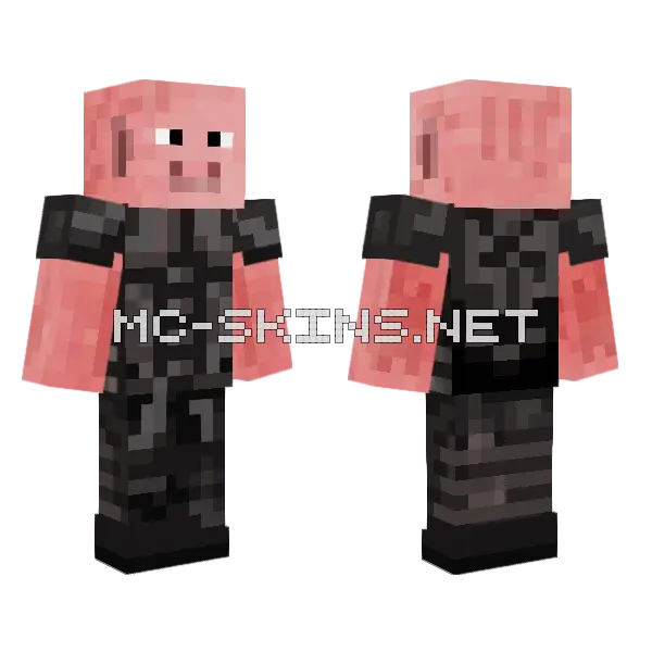 Hogswarth Fixed Minecraft skin, front and back