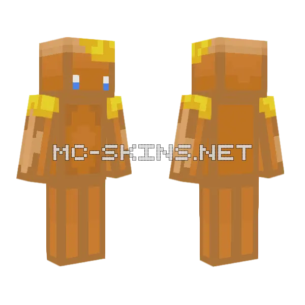 Honey Bee Suit Minecraft skin, front and back