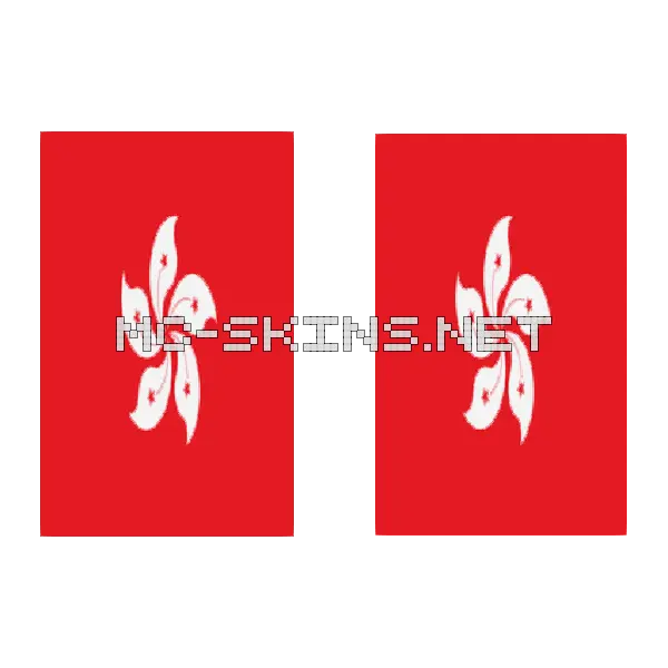 Hong Kong Flag cape, outside and lining