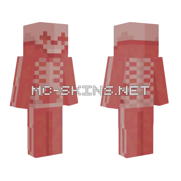 I Forgot What I Wanted Minecraft skin, front and back