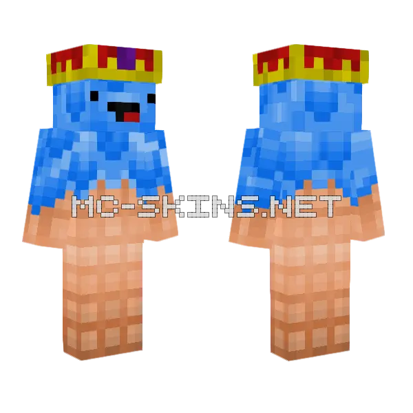 Ice Cream V 5 Minecraft skin, front and back