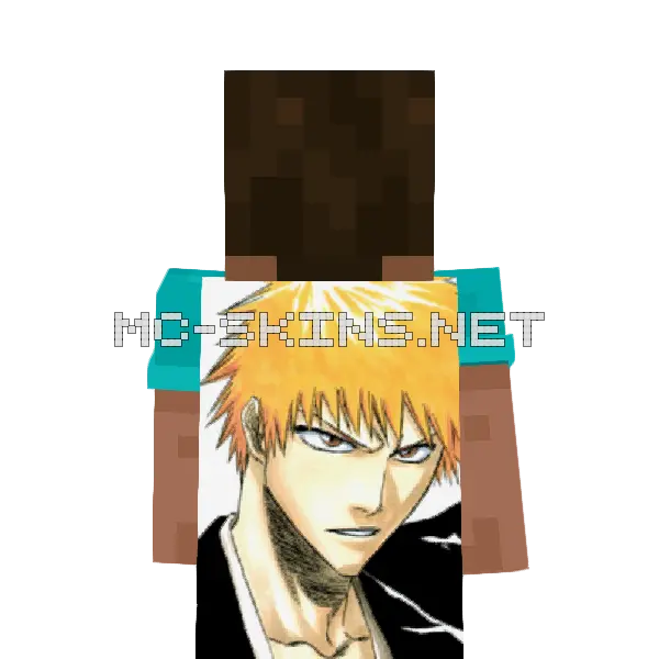 Ichigo Kurosaki cape, outside and lining