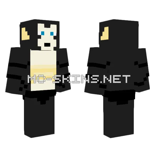 Iggy The Cat Minecraft skin, front and back