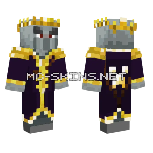 Illager King Minecraft skin, front and back