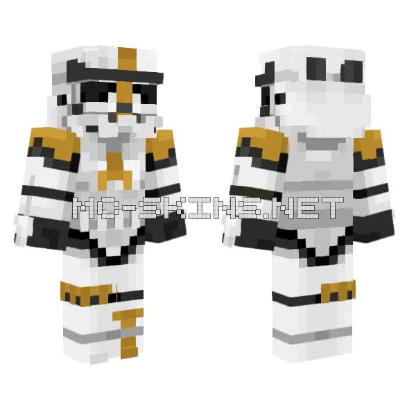 Imperial Stormtrooper 291st Legion Minecraft skin, front and back