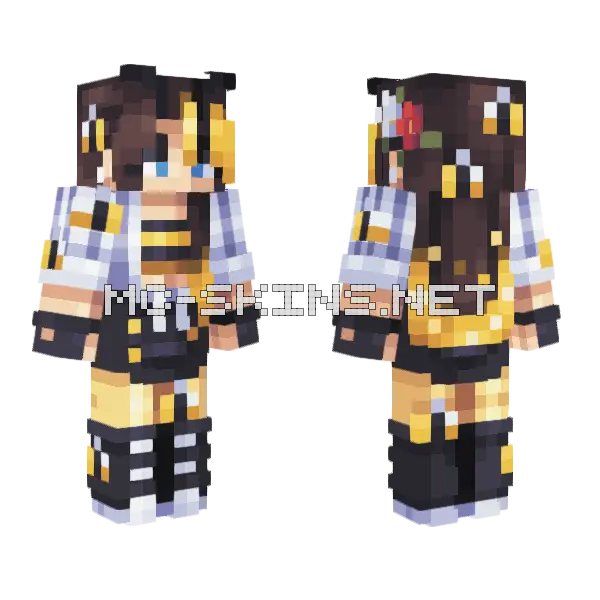 In The Eye Of The Swarm Minecraft skin, front and back