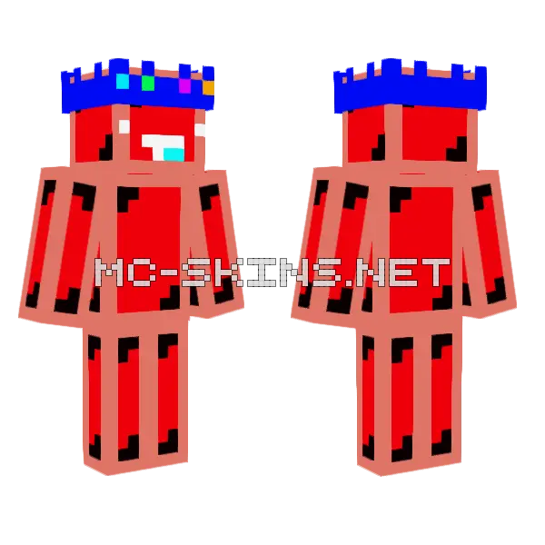 Invert Skeppy Minecraft skin, front and back