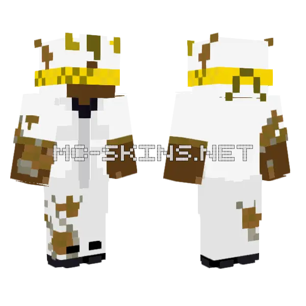 Invertt Minecraft skin, front and back
