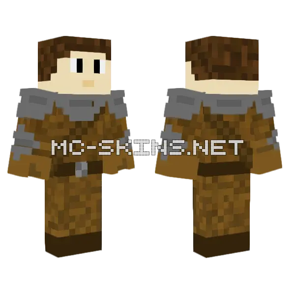 Iron Wood Knight V3 Minecraft skin, front and back