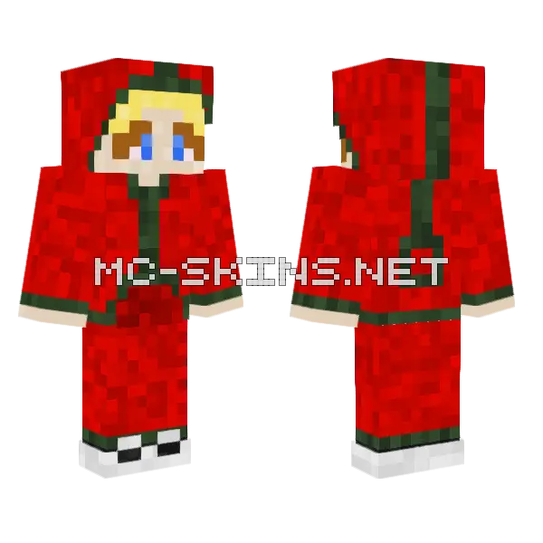 Ironkoopa Lariat Christmas Minecraft skin, front and back