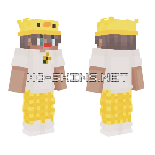 Jake Update Minecraft skin, front and back