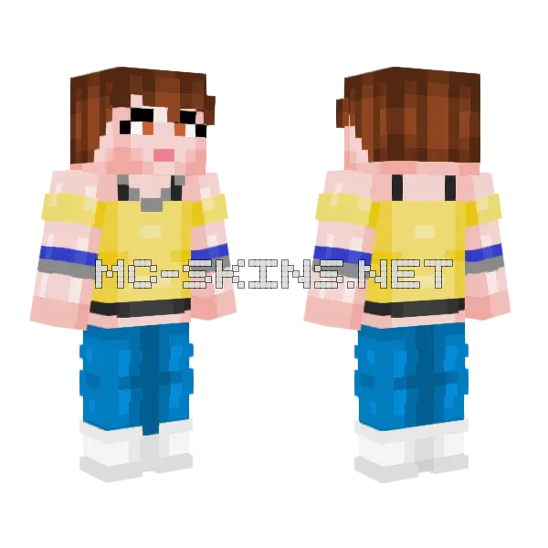 Janet Van Dyne Minecraft skin, front and back