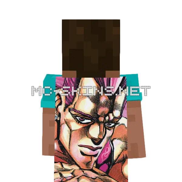 Jean-Pierre Polnareff cape, outside and lining