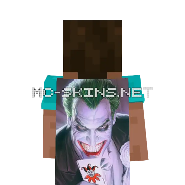 Joker cape, outside and lining