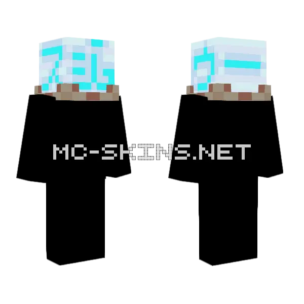 Joo Oose Japanese Hologram Minecraft skin, front and back