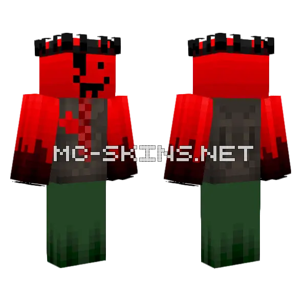 jx1dx1 Red Green Minecraft skin, front and back