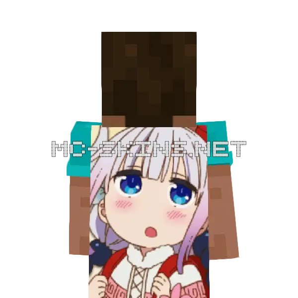 Kanna Kamui cape, outside and lining