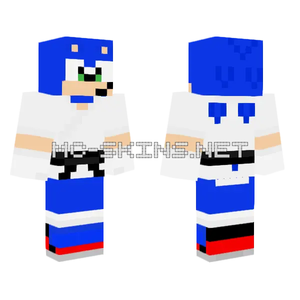 Karate Sonic Minecraft skin, front and back
