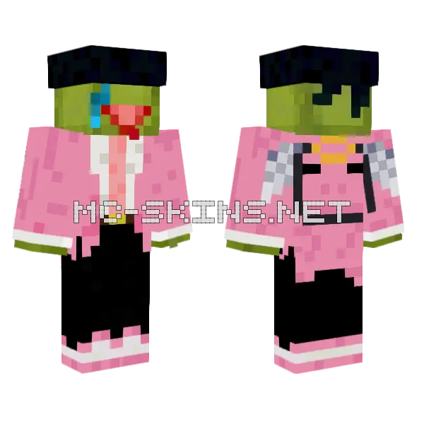 Kermit Warrior Minecraft skin, front and back