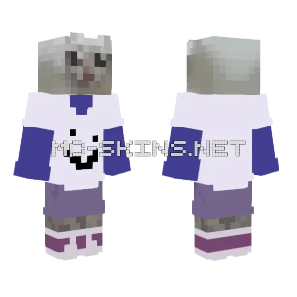 Killua Cat Minecraft skin, front and back