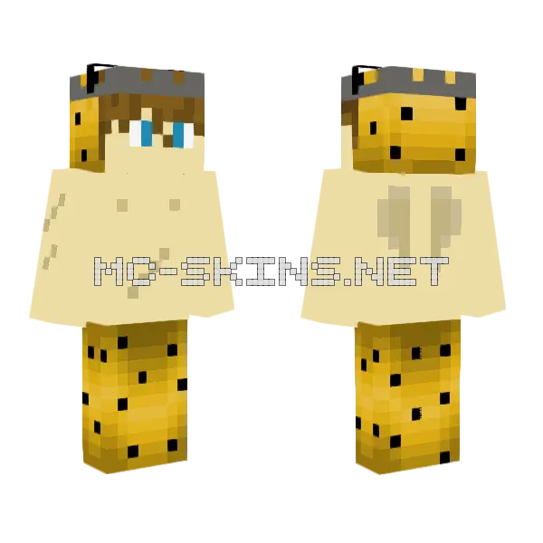 King Of Avia Minecraft skin, front and back