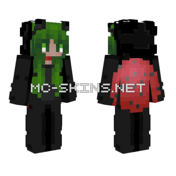 Ladybug Ce Minecraft skin, front and back