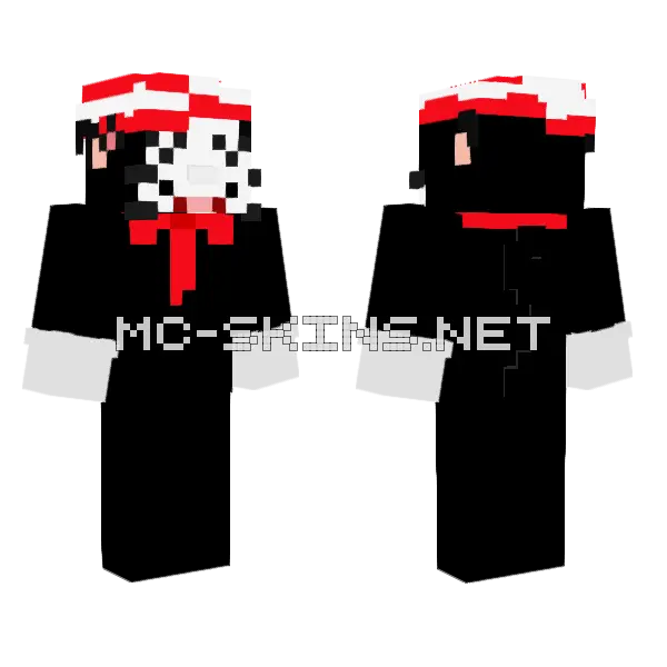 Le Chat Au Chapeau Minecraft skin, front and back