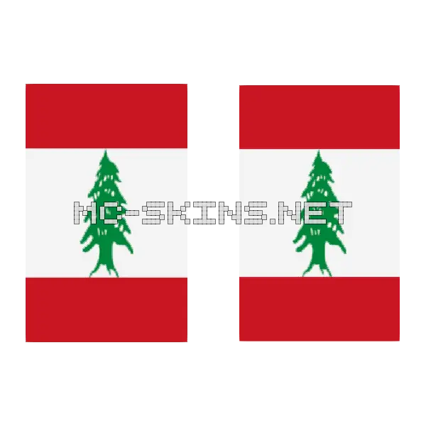 Lebanon Flag cape, outside and lining