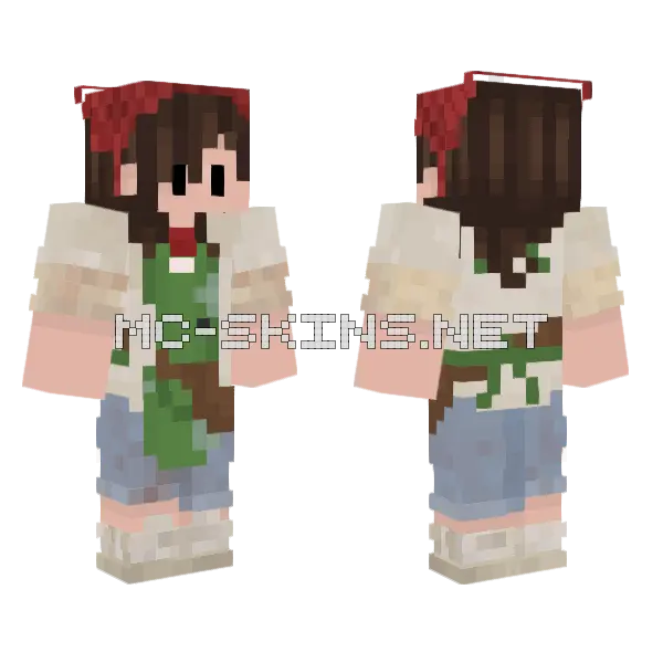 Lee Minecraft skin, front and back