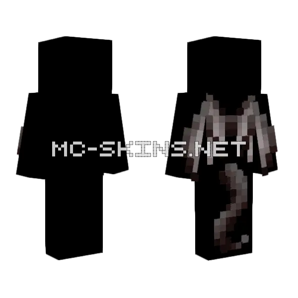 Leir Wings Tail Base Minecraft skin, front and back