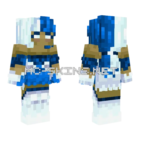 Let Me Shield You Minecraft skin, front and back