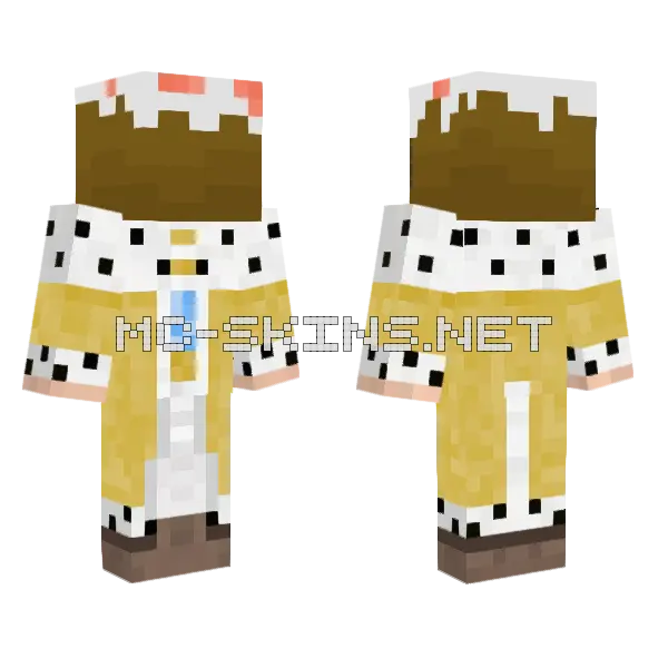 Lethalyear Minecraft skin, front and back