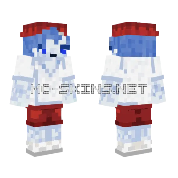 Liam Blue And Red Minecraft skin, front and back