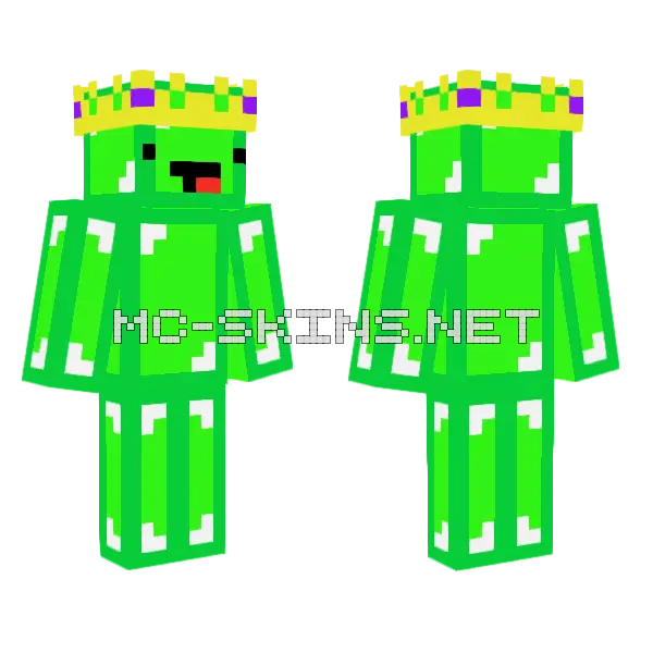 Lime Skeppy Minecraft skin, front and back