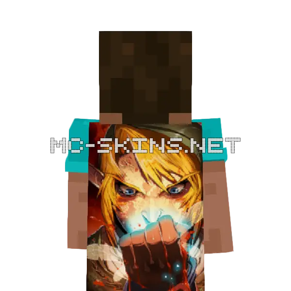 Link Angry cape, outside and lining