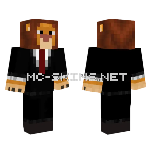 Lion Shadow 3 Minecraft skin, front and back
