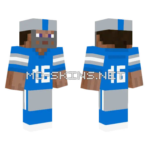 Lions Color 24 Minecraft skin, front and back