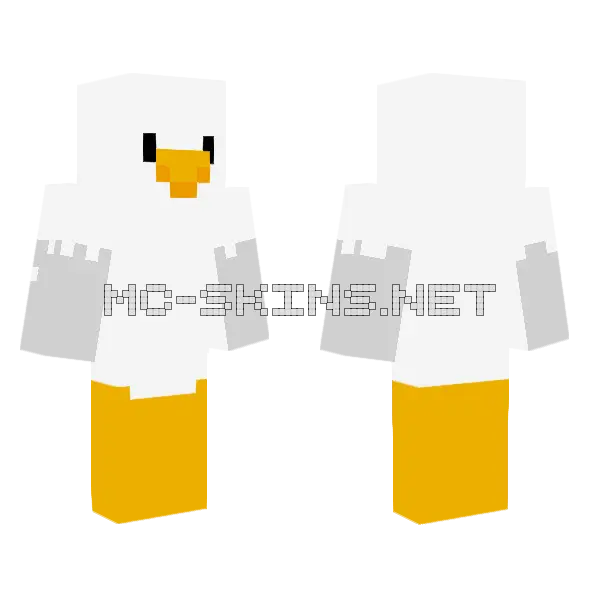 Seagull Bird, front and back
