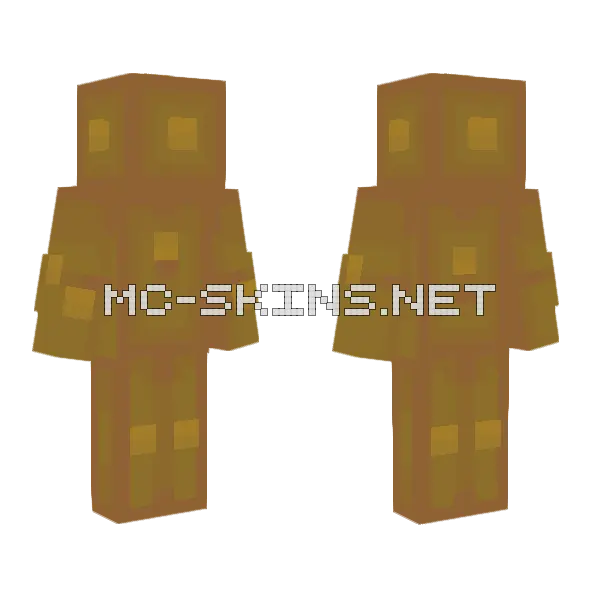Living On The Sun Rce Minecraft skin, front and back