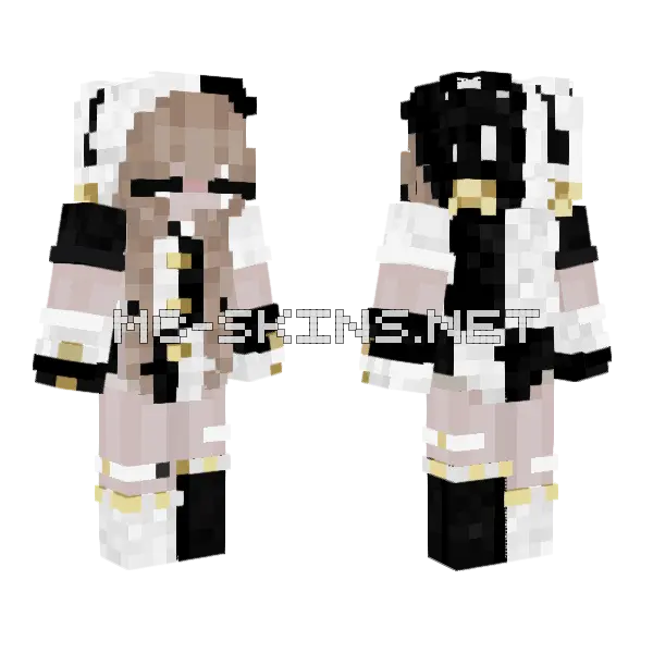 Lol Er Sej Minecraft skin, front and back