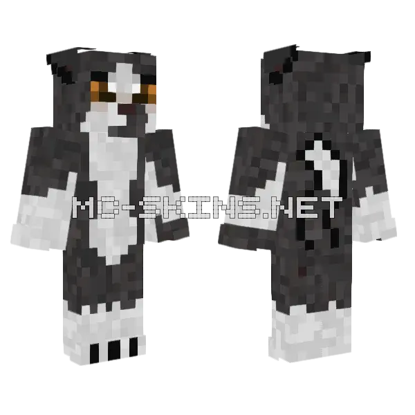 Loonstar Cat Skin Minecraft skin, front and back