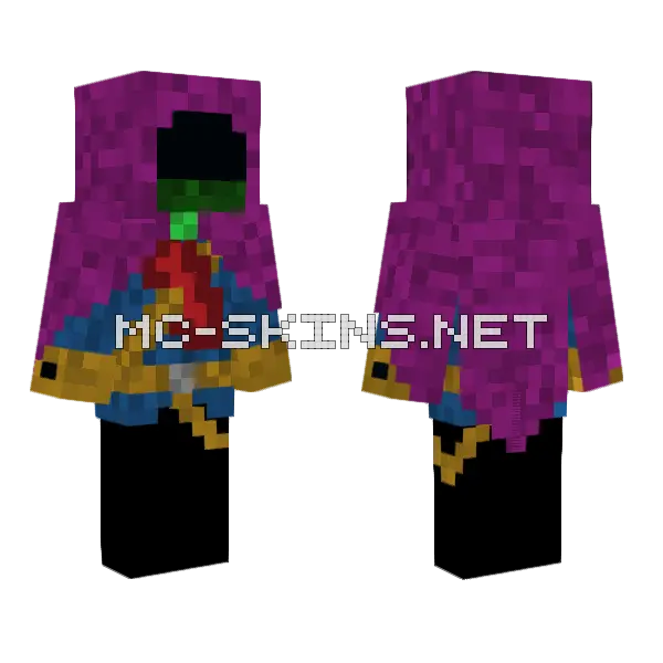 Lost Sowll Assassin 14 Minecraft skin, front and back