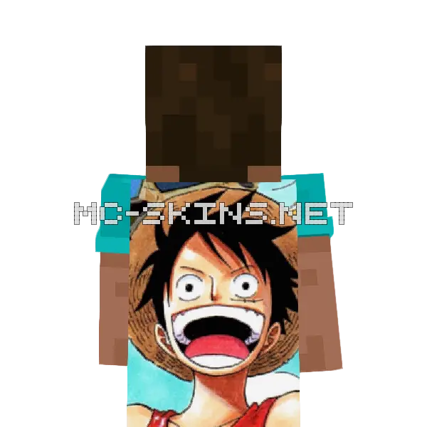 Luffy Monkey cape, outside and lining