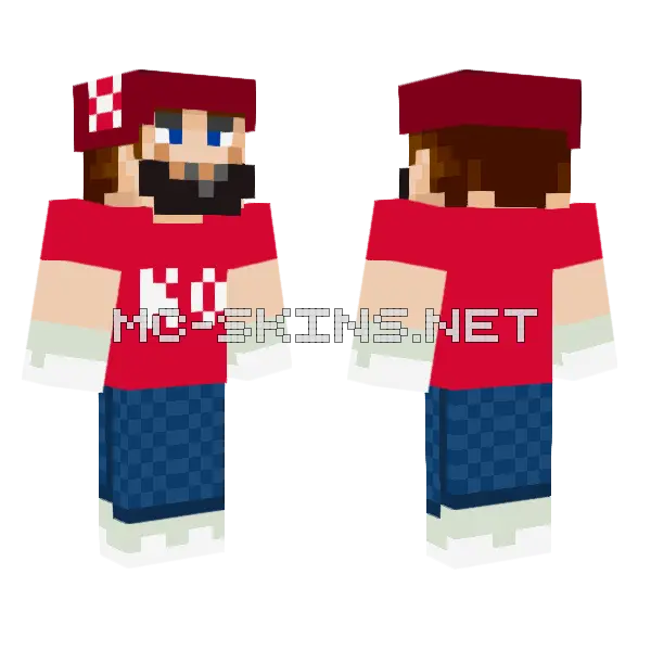 Luigi's Day Out Mario Minecraft skin, front and back