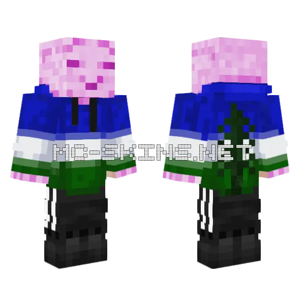 Lumpyspacecraft Cascadia Minecraft skin, front and back