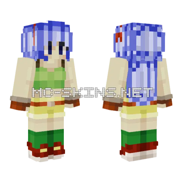 Lunch Dragon Ball Minecraft skin, front and back