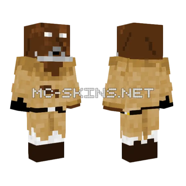 Mace Windu Masterwindu Contest Skin Minecraft skin, front and back