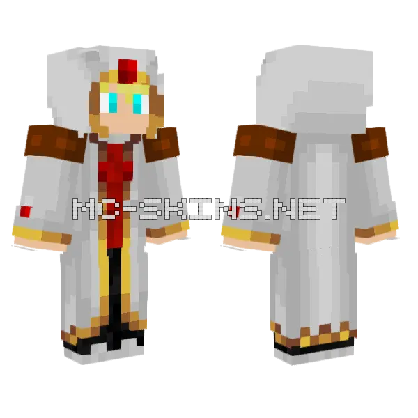 Mage Joeybug74 Minecraft skin, front and back