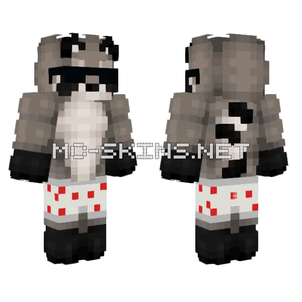 Mapachexd Raccoon, front and back