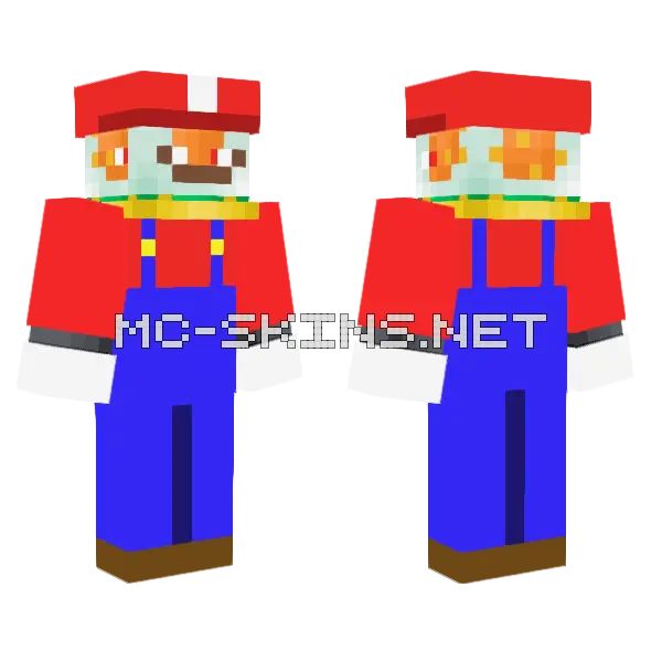 Mario Fish Minecraft skin, front and back